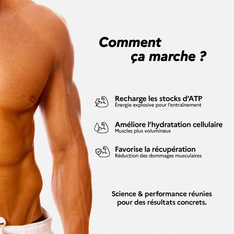 Créatine Monohydrate - NITROPERF - Résultats Concrets